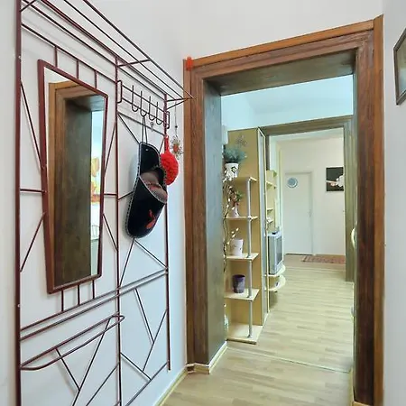 Center Dragica زادار